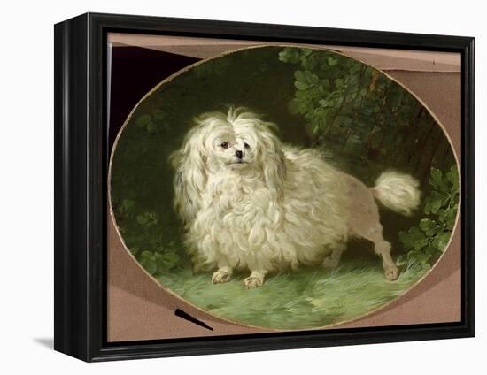 Portrait of a Poodle-Jean Jacques Bachelier-Framed Premier Image Canvas