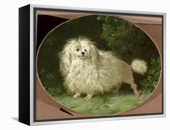 Portrait of a Poodle-Jean Jacques Bachelier-Framed Premier Image Canvas