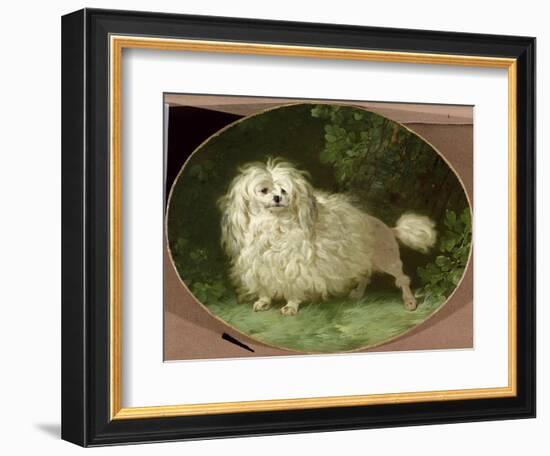 Portrait of a Poodle-Jean Jacques Bachelier-Framed Giclee Print