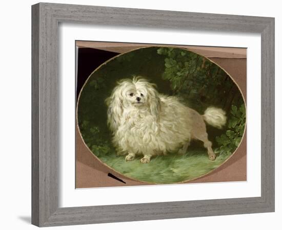 Portrait of a Poodle-Jean Jacques Bachelier-Framed Giclee Print