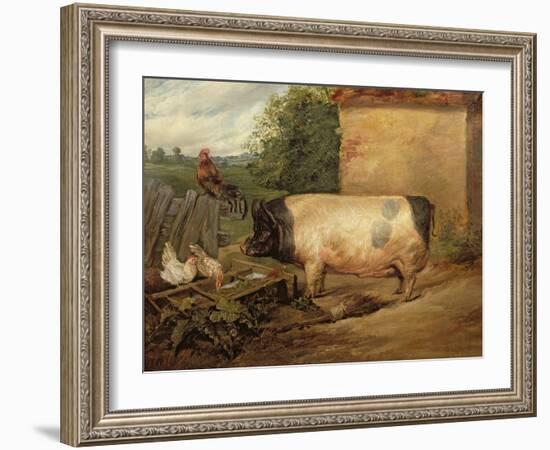 Portrait of a Prize Pig, Property of Squire Weston of Essex, 1810-Edwin Henry Landseer-Framed Giclee Print