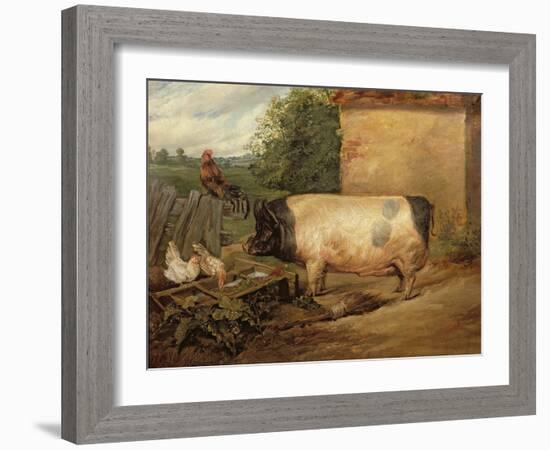 Portrait of a Prize Pig, Property of Squire Weston of Essex, 1810-Edwin Henry Landseer-Framed Giclee Print