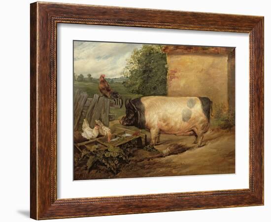 Portrait of a Prize Pig, Property of Squire Weston of Essex, 1810-Edwin Henry Landseer-Framed Giclee Print
