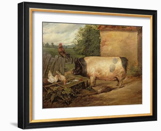 Portrait of a Prize Pig, Property of Squire Weston of Essex, 1810-Edwin Henry Landseer-Framed Giclee Print