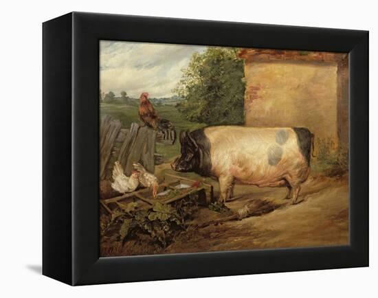 Portrait of a Prize Pig, Property of Squire Weston of Essex, 1810-Edwin Henry Landseer-Framed Premier Image Canvas