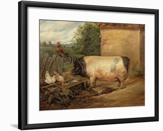 Portrait of a Prize Pig, Property of Squire Weston of Essex, 1810-Edwin Henry Landseer-Framed Giclee Print