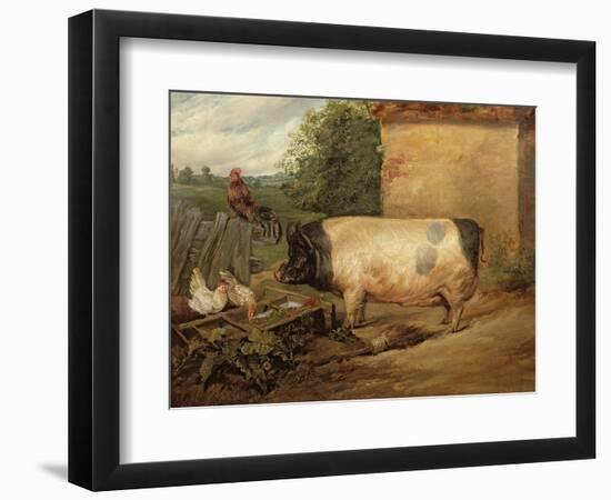 Portrait of a Prize Pig, Property of Squire Weston of Essex, 1810-Edwin Henry Landseer-Framed Giclee Print