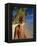 Portrait of a Rasta Man at Pigeon Point, Tobago, Trinidad and Tobago, West Indies, Caribbean-Gavin Hellier-Framed Premier Image Canvas