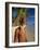 Portrait of a Rasta Man at Pigeon Point, Tobago, Trinidad and Tobago, West Indies, Caribbean-Gavin Hellier-Framed Photographic Print