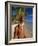 Portrait of a Rasta Man at Pigeon Point, Tobago, Trinidad and Tobago, West Indies, Caribbean-Gavin Hellier-Framed Photographic Print