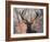 Portrait of a Red Deer Buck, Cervus Elaphus, in Winter-Alex Saberi-Framed Photographic Print