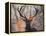 Portrait of a Red Deer Buck, Cervus Elaphus, in Winter-Alex Saberi-Framed Premier Image Canvas