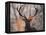 Portrait of a Red Deer Buck, Cervus Elaphus, in Winter-Alex Saberi-Framed Premier Image Canvas