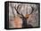 Portrait of a Red Deer Buck, Cervus Elaphus, in Winter-Alex Saberi-Framed Premier Image Canvas