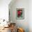 Portrait Of A Scarlet Macaw Sitting On A Branch-Karine Aigner-Framed Photographic Print displayed on a wall