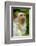 Portrait of a Silvery Marmoset (Mico - Callithrix Argentata)-Daniel Heuclin-Framed Photographic Print