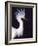 Portrait of a Snowy Egret in Breeding Plumage, Ding Darling NWR, Sanibel Island, Florida, USA-Charles Sleicher-Framed Photographic Print