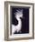 Portrait of a Snowy Egret in Breeding Plumage, Ding Darling NWR, Sanibel Island, Florida, USA-Charles Sleicher-Framed Photographic Print