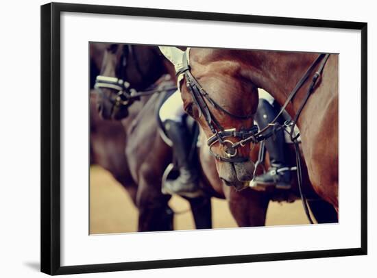 Portrait of a Sports Stallion. Riding on a Horse. Thoroughbred Horse. Beautiful Horse.-Elya Vatel-Framed Photographic Print