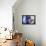 Portrait Of A Steampunk Man With A Mechanical Devices Over Brick Wall-prometeus-Framed Stretched Canvas displayed on a wall