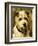 Portrait of a Terrier: Darkie, 1903-John Emms-Framed Giclee Print