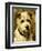 Portrait of a Terrier: Darkie, 1903-John Emms-Framed Giclee Print