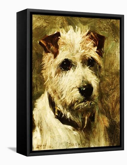 Portrait of a Terrier: Darkie, 1903-John Emms-Framed Premier Image Canvas