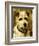 Portrait of a Terrier: Darkie, 1903-John Emms-Framed Giclee Print