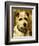 Portrait of a Terrier: Darkie, 1903-John Emms-Framed Giclee Print