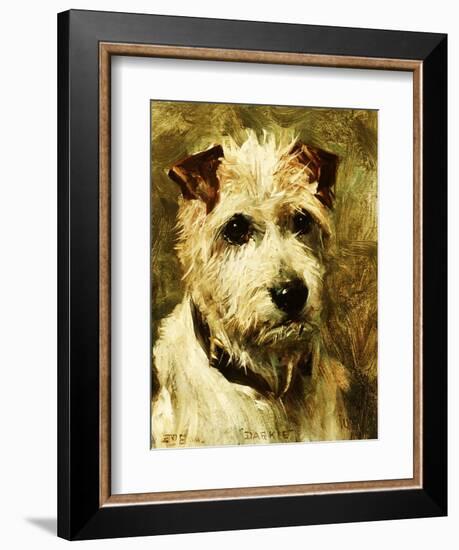 Portrait of a Terrier: Darkie, 1903-John Emms-Framed Giclee Print