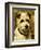 Portrait of a Terrier: Darkie, 1903-John Emms-Framed Giclee Print