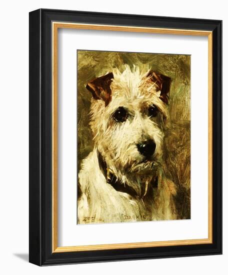 Portrait of a Terrier: Darkie, 1903-John Emms-Framed Giclee Print