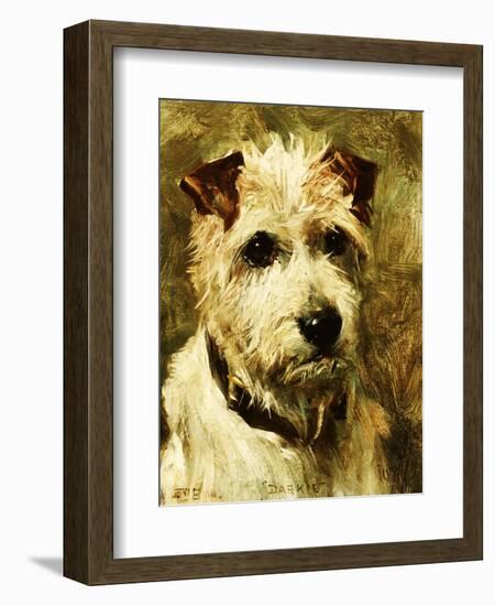 Portrait of a Terrier: Darkie, 1903-John Emms-Framed Premium Giclee Print