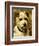 Portrait of a Terrier: Darkie, 1903-John Emms-Framed Premium Giclee Print