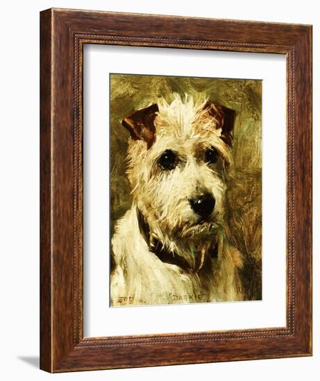 Portrait of a Terrier: Darkie, 1903-John Emms-Framed Premium Giclee Print