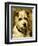 Portrait of a Terrier: Darkie, 1903-John Emms-Framed Premium Giclee Print