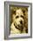 Portrait of a Terrier: Darkie, 1903-John Emms-Framed Giclee Print