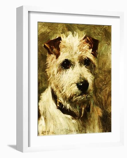 Portrait of a Terrier: Darkie, 1903-John Emms-Framed Giclee Print