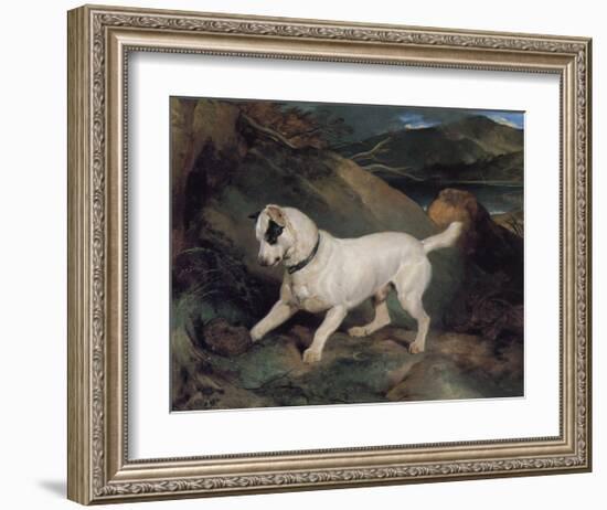 Portrait of a Terrier-Edwin Henry Landseer-Framed Giclee Print