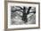 Portrait of a Tree, Study 12-Marcin Stawiarz-Framed Art Print