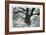 Portrait of a Tree, Study 12-Marcin Stawiarz-Framed Art Print