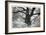 Portrait of a Tree, Study 12-Marcin Stawiarz-Framed Art Print