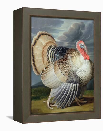 Portrait of a Turkey-Johann Wenceslaus Peter Wenzal-Framed Premier Image Canvas