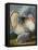 Portrait of a Turkey-Johann Wenceslaus Peter Wenzal-Framed Premier Image Canvas