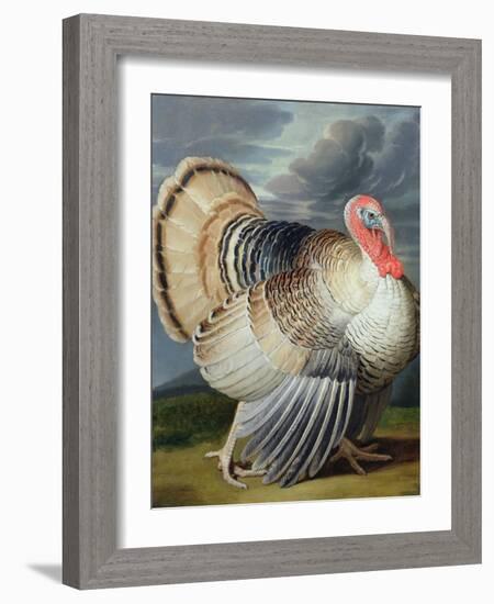 Portrait of a Turkey-Johann Wenceslaus Peter Wenzal-Framed Giclee Print