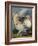 Portrait of a Turkey-Johann Wenceslaus Peter Wenzal-Framed Giclee Print