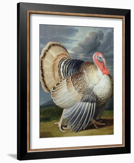 Portrait of a Turkey-Johann Wenceslaus Peter Wenzal-Framed Giclee Print