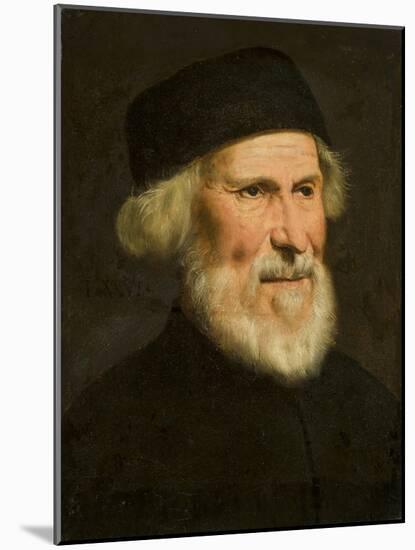 Portrait of a Venetian, C.1550-Jacopo Robusti Tintoretto-Mounted Giclee Print