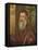 Portrait of a Venetian Senator (Oil on Canvas)-Jacopo Robusti Tintoretto-Framed Premier Image Canvas