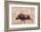 Portrait of a warthog, Phacochoerus aethiopicus, running. Mala Mala Game Reserve, South Africa.-Sergio Pitamitz-Framed Photographic Print